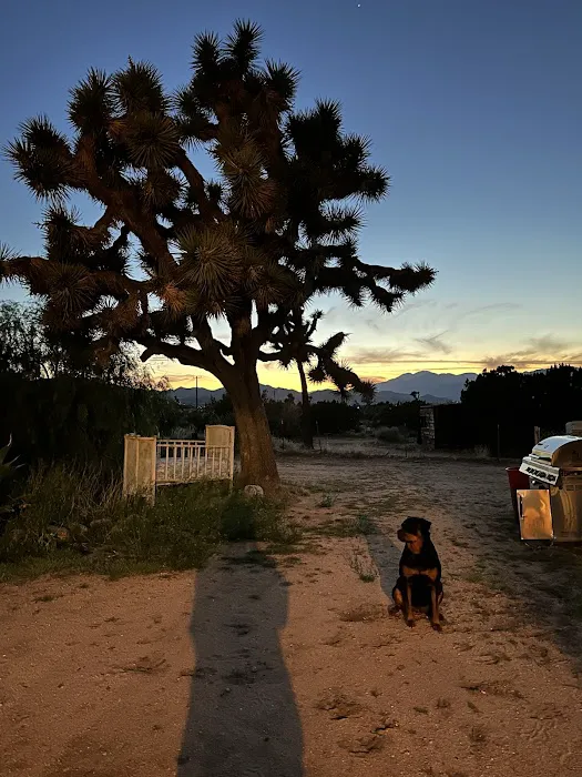 The Rock House; Thunderbird Lodge Retreat Picture 2