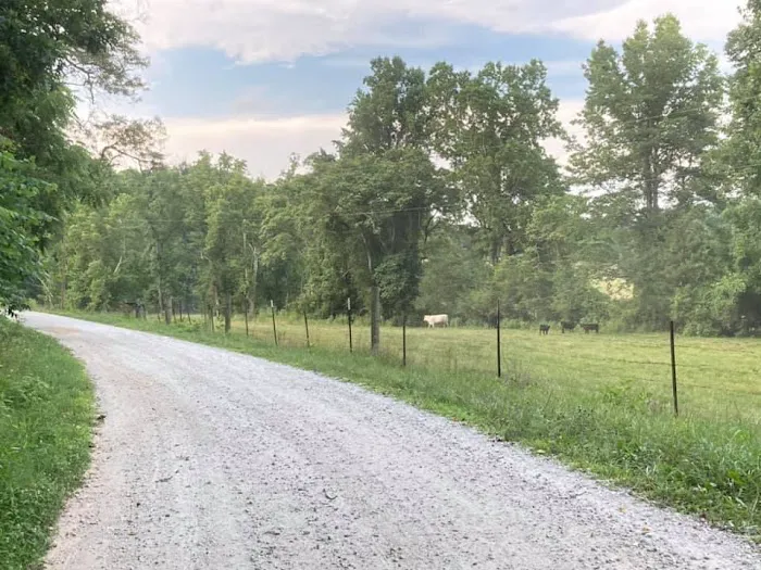 Water Wheel RV Park Picture 4