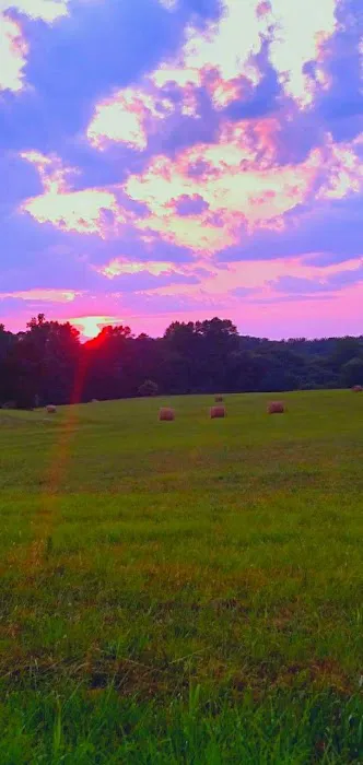 Walkers Mobile Home Park Picture 1