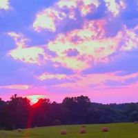 Walkers Mobile Home Park ico