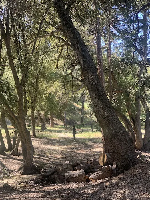 Los Coyotes Reservation Campground Picture 9