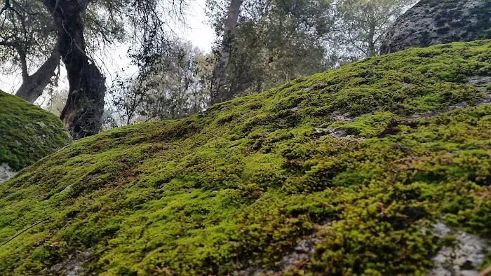 Los Coyotes Reservation Campground Picture 8