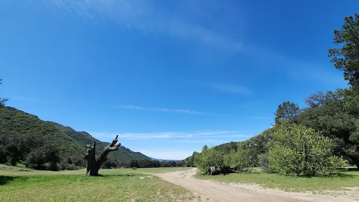 Los Coyotes Reservation Campground Picture 3