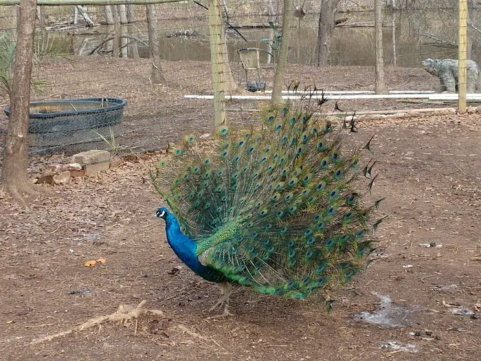 CR.PARADISE Picture 2