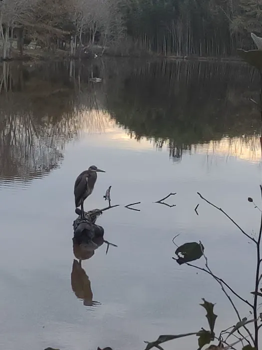 CR.PARADISE Picture 3