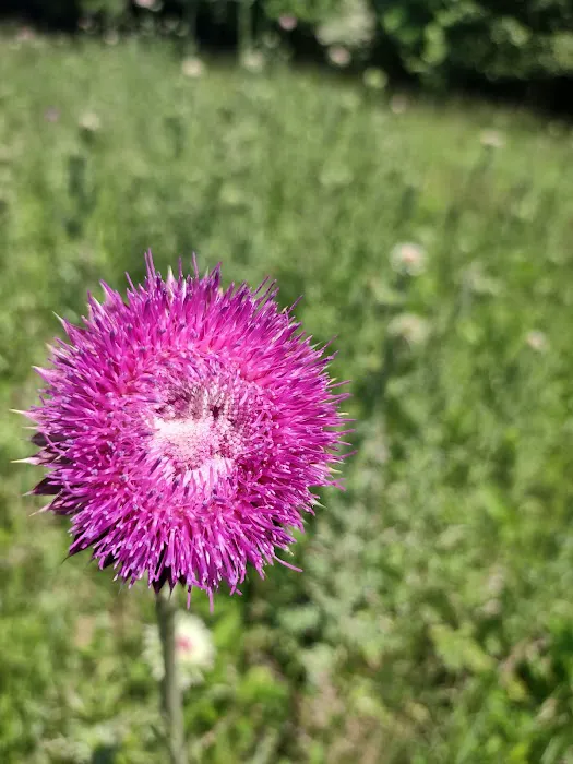 CR.PARADISE Picture 6