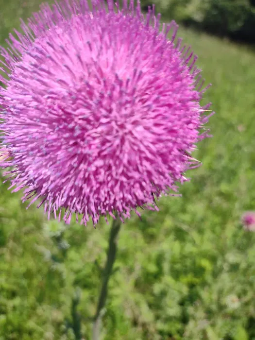 CR.PARADISE Picture 5