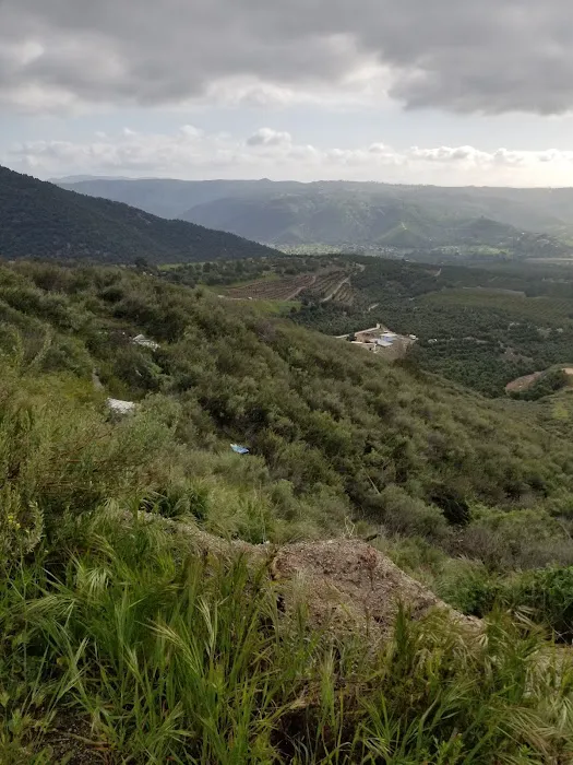 Henshaw Scenic Vista Picture 10