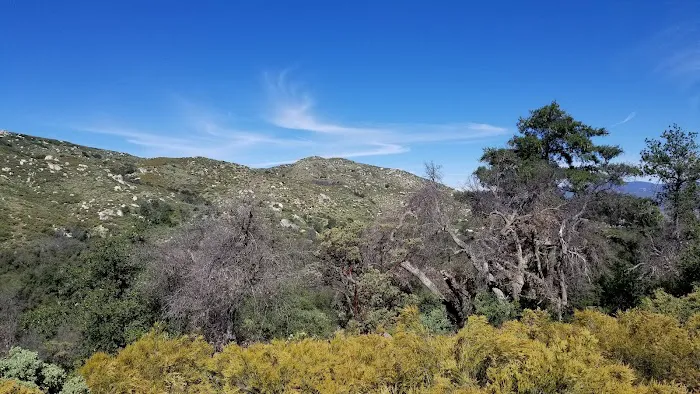 Mataguay Scout Ranch Picture 5