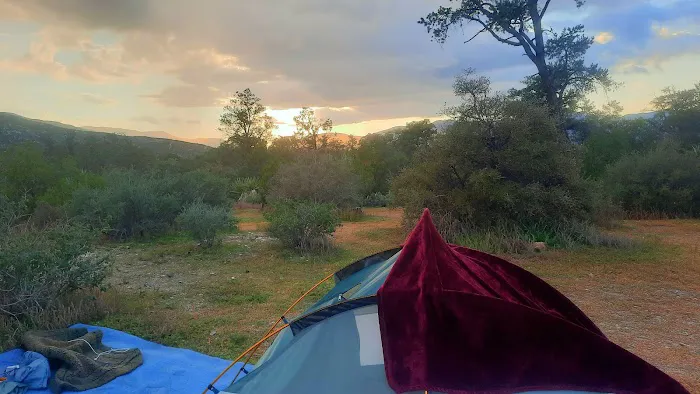 Pinyon Flat Campground Picture 5