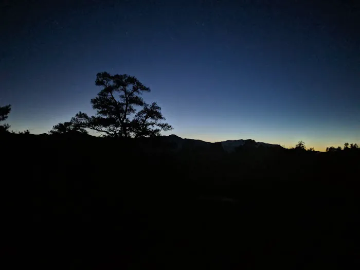 Pinyon Flat Campground Picture 3