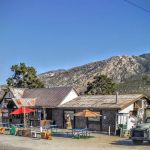 Pinyon Flat Campground