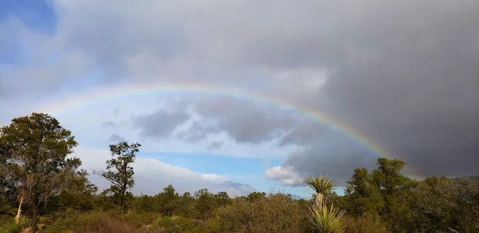 Pinyon Flat Campground Picture 9