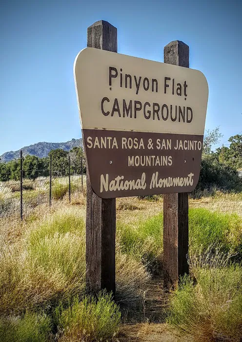 Pinyon Flat Campground Picture 4