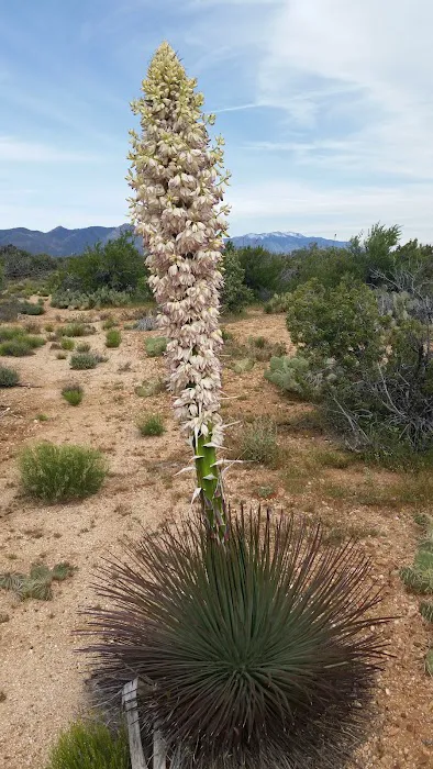 Ribbonwood Equestrian Campground Picture 5