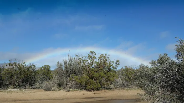 Ribbonwood Equestrian Campground Picture 4