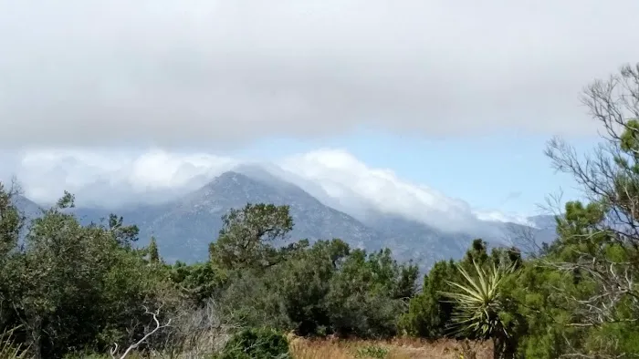 Ribbonwood Equestrian Campground Picture 3