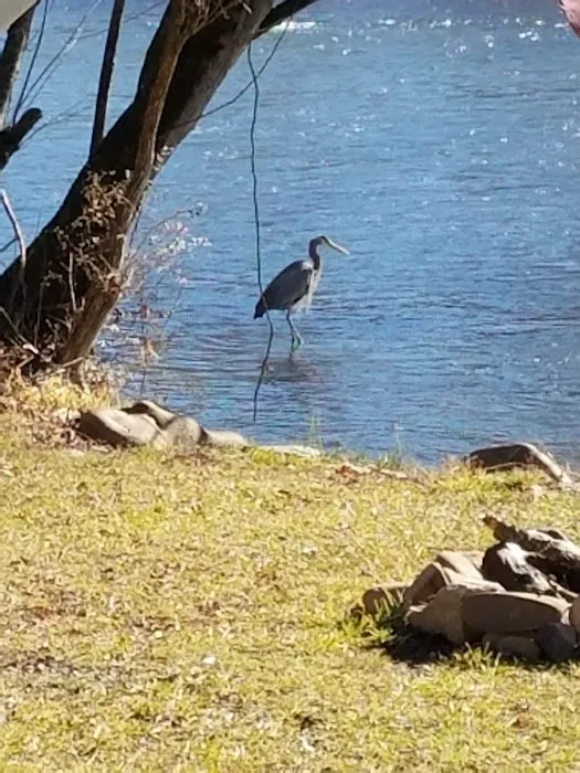 Camp Renfro Picture 1