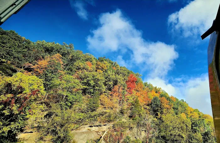 Camp Renfro Picture 7