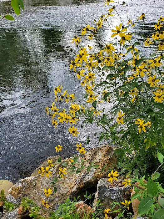 Camp Renfro Picture 5