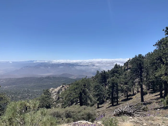 Santa Rosa Campground Picture 3