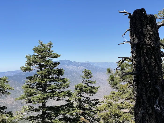 Santa Rosa Campground Picture 1