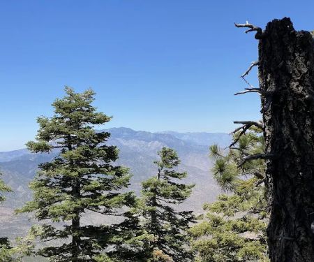 Santa Rosa Campground