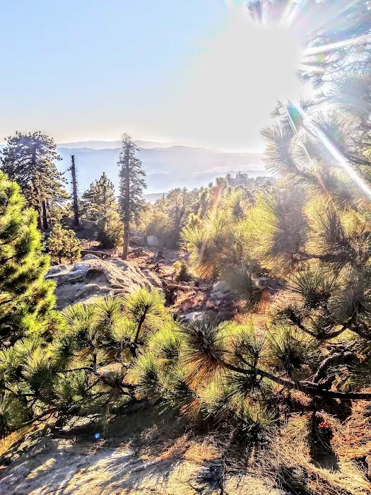 Santa Rosa Campground Picture 9