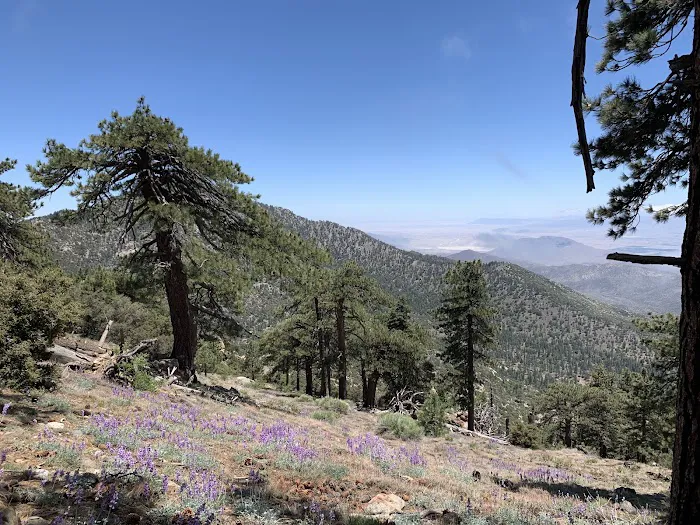 Santa Rosa Campground Picture 8