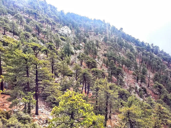 Santa Rosa Campground Picture 4