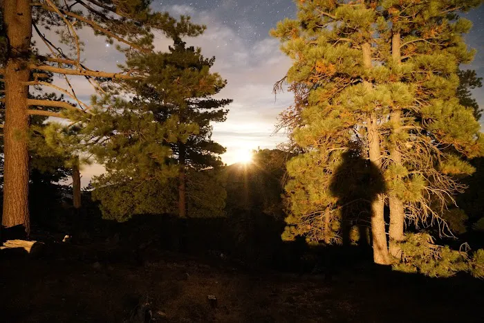 Santa Rosa Yellow Post Sites Picture 10