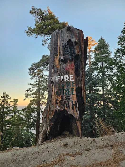 Santa Rosa Yellow Post Sites Picture 8