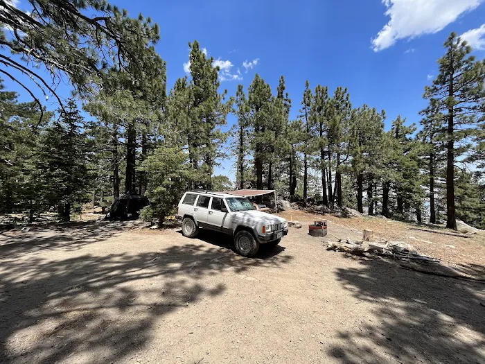 Yellow post Picture 7