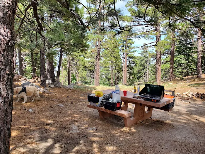 Yellow post Picture 5