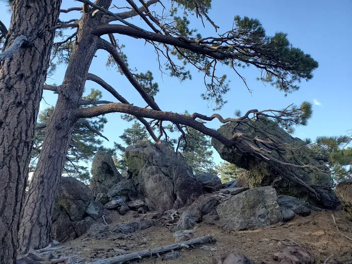 Yellow post Picture 6