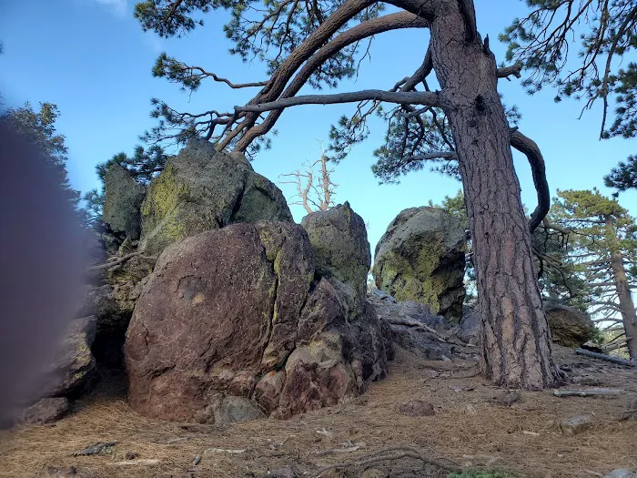 Yellow post Picture 3