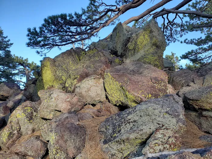 Yellow post Picture 1