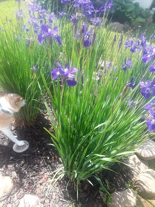 McKinley Mobile Home Park Picture 1