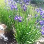 McKinley Mobile Home Park