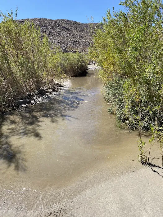 Sheep Canyon Campground Picture 9