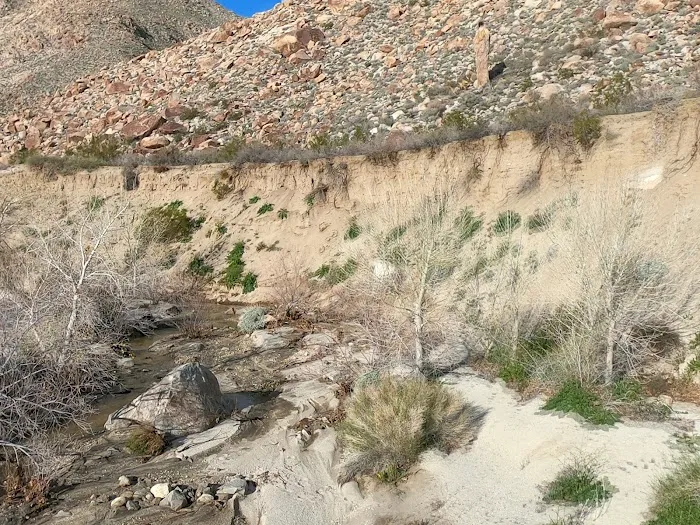 Sheep Canyon Campground Picture 4