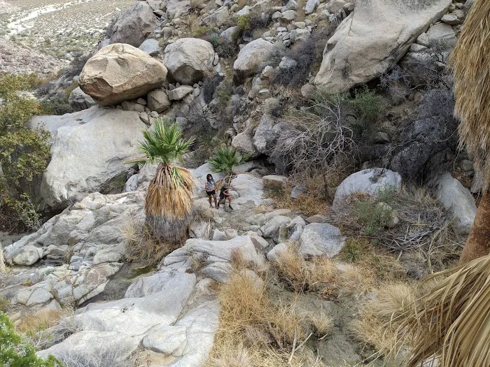 Sheep Canyon Campground Picture 8