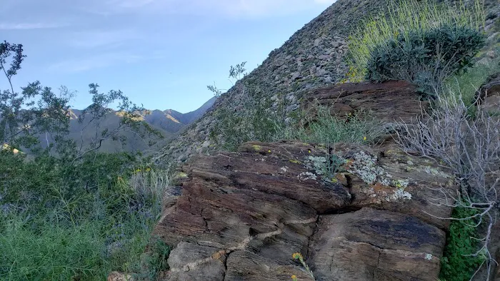 Sheep Canyon Campground Picture 2