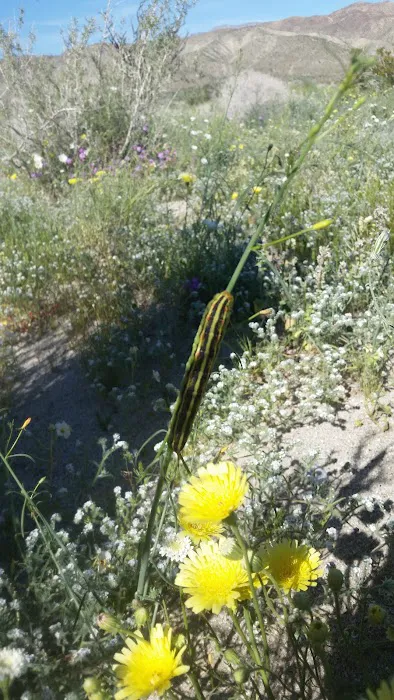 Vern Whitaker Horse Camp Picture 9