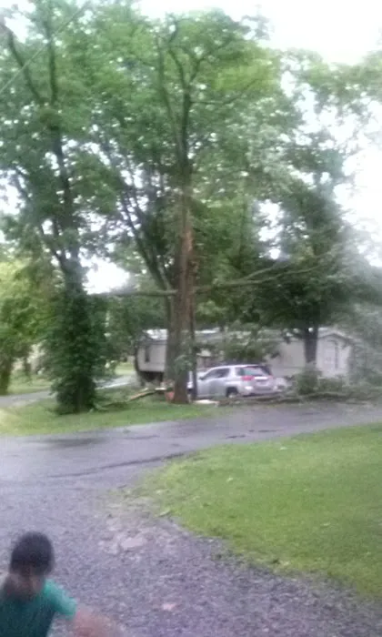 Spring City RV & Mobile Home Prk Picture 1