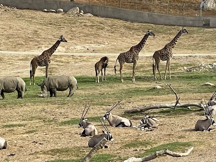 Roar and Snore Campground Picture 8