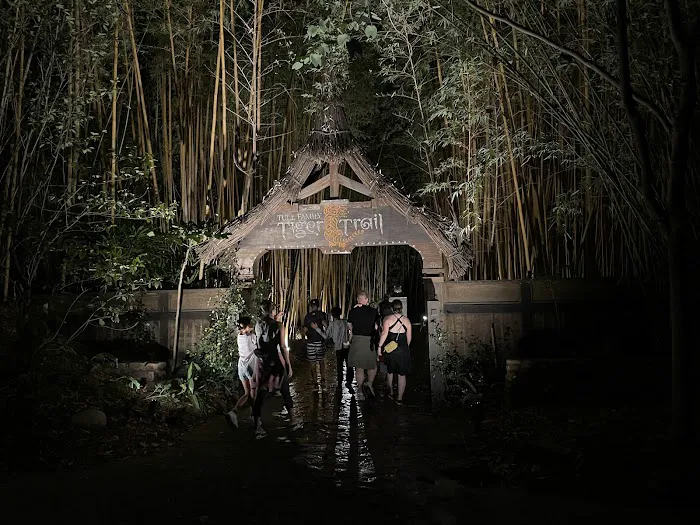 Roar and Snore Campground Picture 3