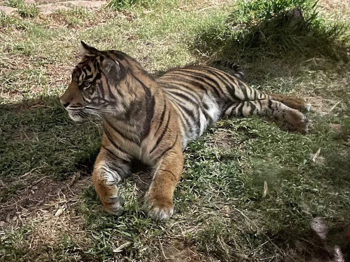 Roar and Snore Campground Picture 6