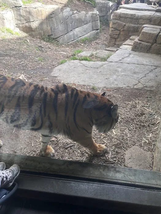 Roar and Snore Campground Picture 5