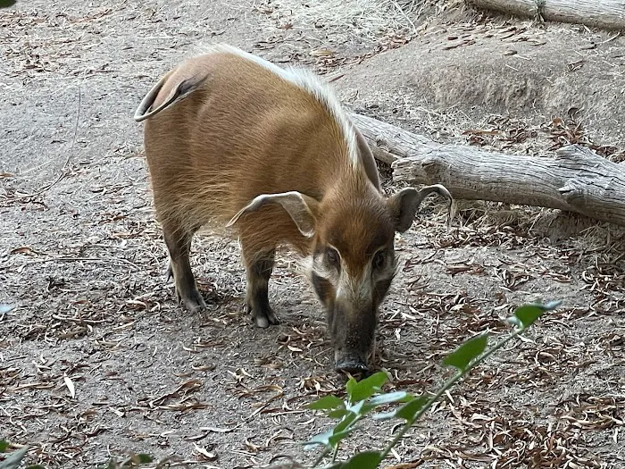 Roar and Snore Campground Picture 10